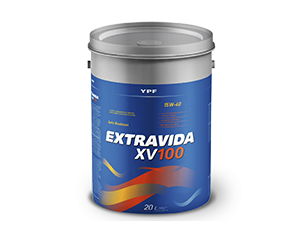 EXTRAVIDA XV100